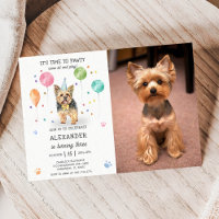 Yorkshire laisse Chien Pawty Chiot Anniversaire ro