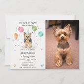 Invitation Yorkshire laisse Chien Pawty Chiot Anniversaire ro (Devant)