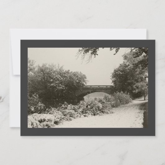 Invitation Zen Winter Snowfall II (Devant)