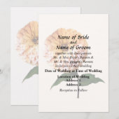 Invitation Zinnia sous les projecteurs (Devant / Derrière)