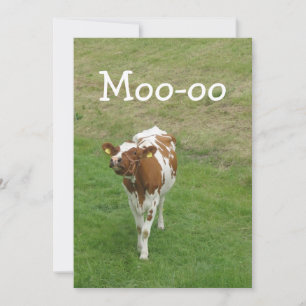 Invitations à la fête de la vache