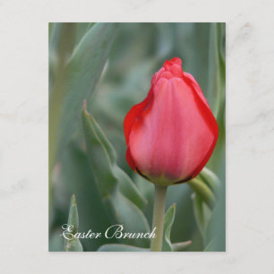 Invitations à un brunch de Pâques de Red Tulip