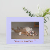 Invitations anglaises drôles de bouledogue (Debout devant)