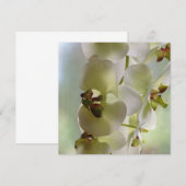 Invitations balançantes d'orchidée (Devant / Derrière)