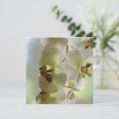 Invitations balançantes d'orchidée (Debout devant)