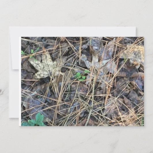 Invitations Camo Blank, Camouflage (Devant)