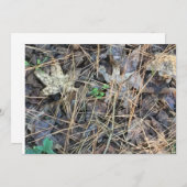 Invitations Camo Blank, Camouflage (Devant / Derrière)