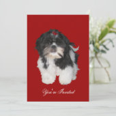 Invitations Chiens Chih Shitzu Tzu Chiot (Debout devant)