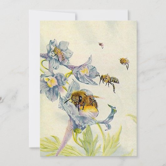 Invitations d'abeilles de miel et de fleurs de (Devant)