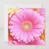 Invitations Daisy - Gerber Daisy rose (Dos)