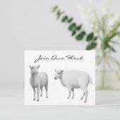 Invitations d'animal de ferme de moutons (Debout devant)