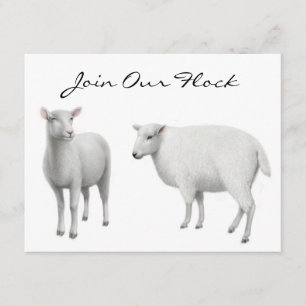 Invitations d'animal de ferme de moutons