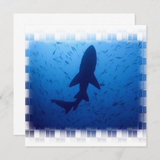 Invitations d'attaque de requin (Devant / Derrière)