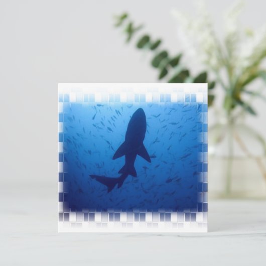 Invitations d'attaque de requin (Debout devant)
