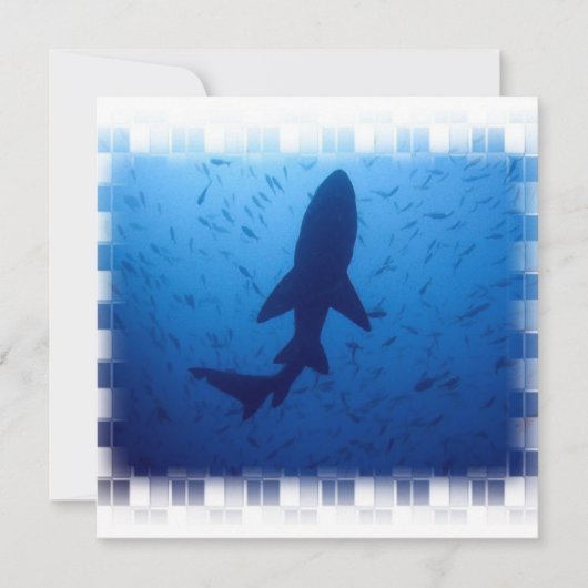 Invitations d'attaque de requin (Devant)
