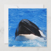 Invitations de baleines (Devant)