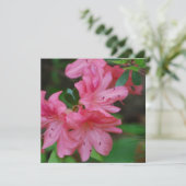 Invitations de Bush d'azalée (Debout devant)