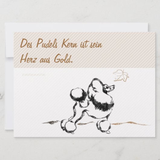 Invitations de caniche (Devant)