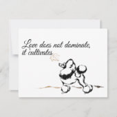 Invitations de canicules (Devant)