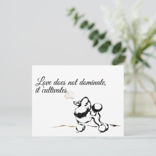 Invitations de canicules (Debout devant)