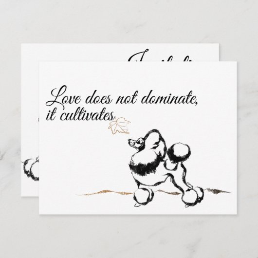 Invitations de canicules (Devant / Derrière)