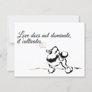 Invitations de canicules