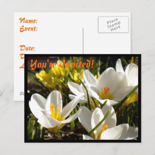 Invitations de cartes postales Spring Crocus (Devant / Derrière)