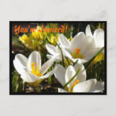 Invitations de cartes postales Spring Crocus (Devant)