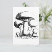 Invitations de champignons de prairie (Debout devant)