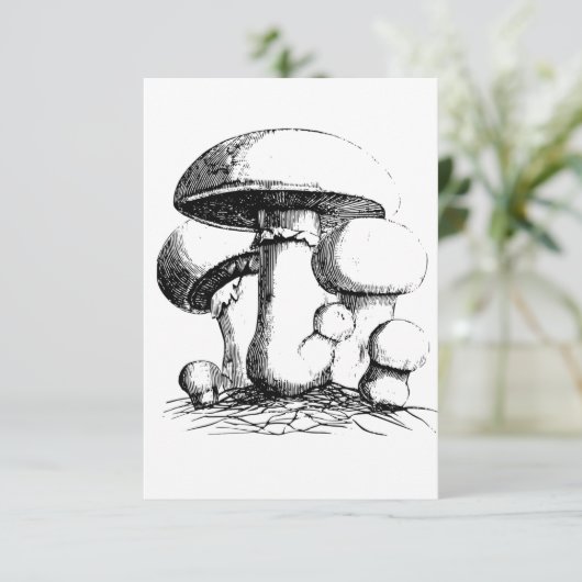 Invitations de champignons de prairie (Debout devant)