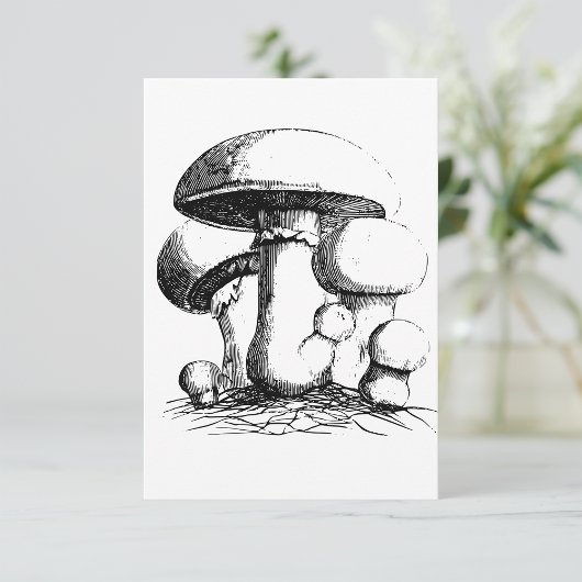 Invitations de champignons de prairie