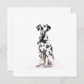 Invitations de chien de feu (Devant / Derrière)