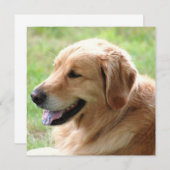 Invitations de chiot de golden retriever (Devant / Derrière)