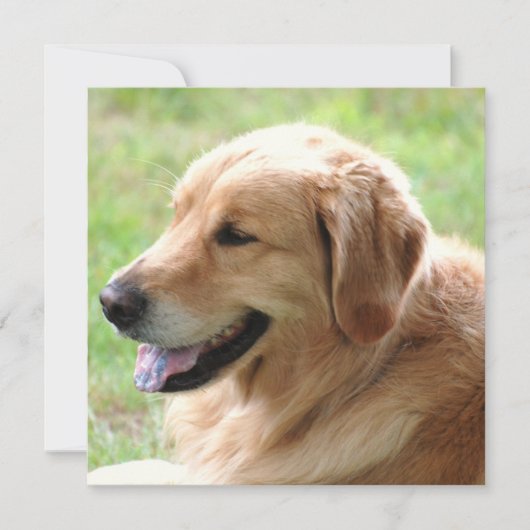 Invitations de chiot de golden retriever (Devant)