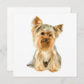 Invitations de chiot de Yorkie (Devant / Derrière)