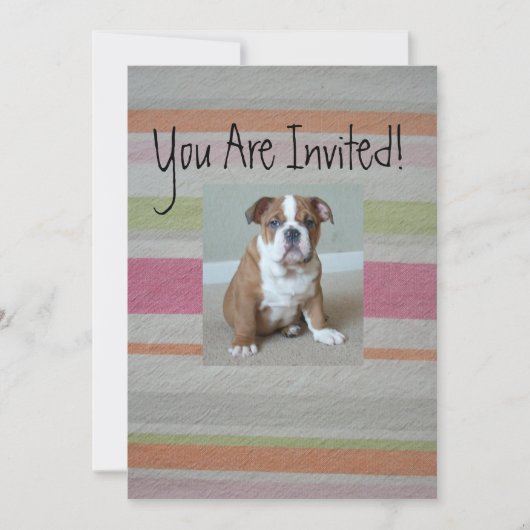 Invitations de chiots de Bulldog anglais (Devant)