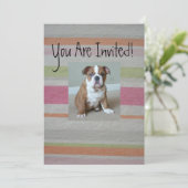 Invitations de chiots de Bulldog anglais (Debout devant)