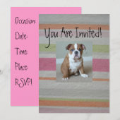 Invitations de chiots de Bulldog anglais (Devant / Derrière)