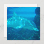 Invitations de dauphins sous-marins (Devant / Derrière)