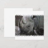 Invitations de faits Rhino (Devant / Derrière)