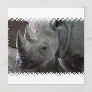 Invitations de faits Rhino