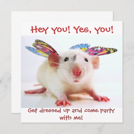 Invitations De Fête (Devant / Derrière)