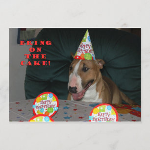 Invitations de fête d'anniversaire de bull-terrier