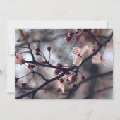 Invitations de fête d'anniversaire de printemps de (Dos)