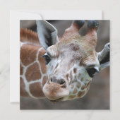 Invitations de Giraffe adorables (Devant)