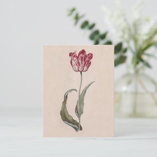 Invitations de Judith Leyster Tulip (Debout devant)