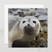 Invitations de la boîte de réception (Devant / Derrière)