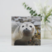 Invitations de la boîte de réception (Debout devant)