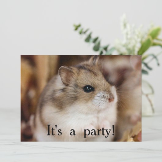 Invitations de la fête de Chibby (Debout devant)