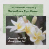 Invitations de la plumeria tropicale hawaïenne (Devant / Derrière)
